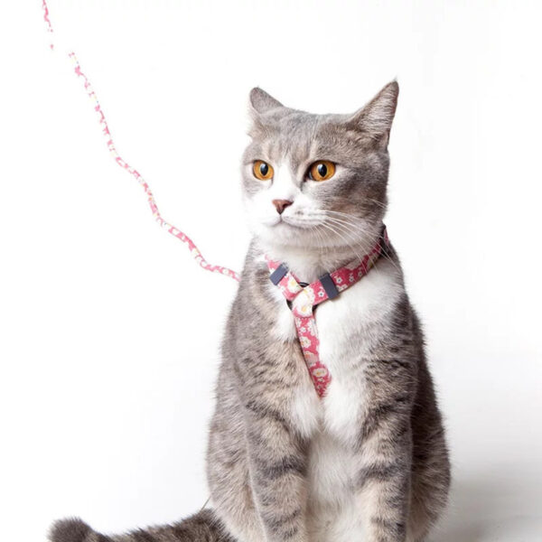 Slipping cat rope - Image 2