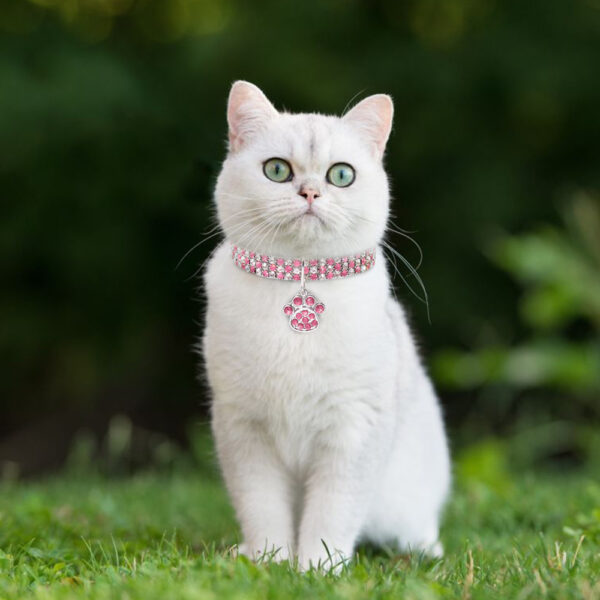 Pet Collar With Diamonds, Mixed-color Cat And Dog Supplies, Cat Claws, Elastic Cat And Dog Necklace Jewelry - Image 3