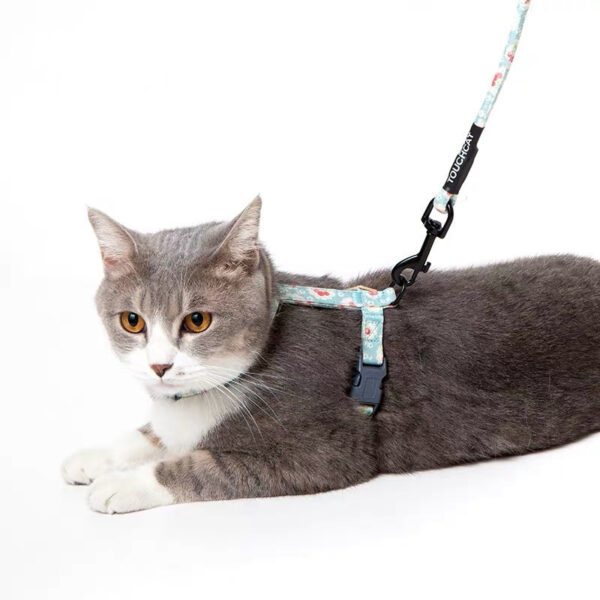 Slipping cat rope
